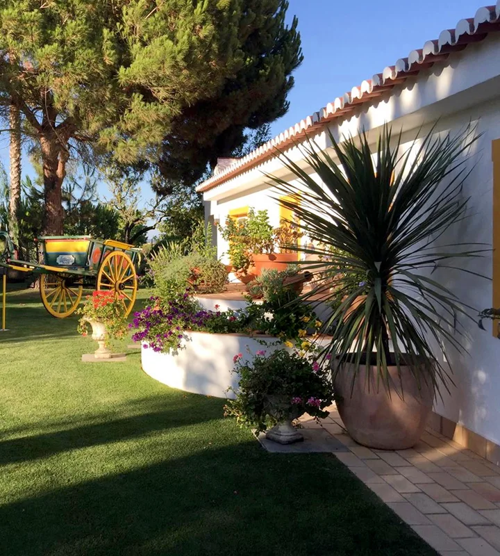 Terraces & Garden