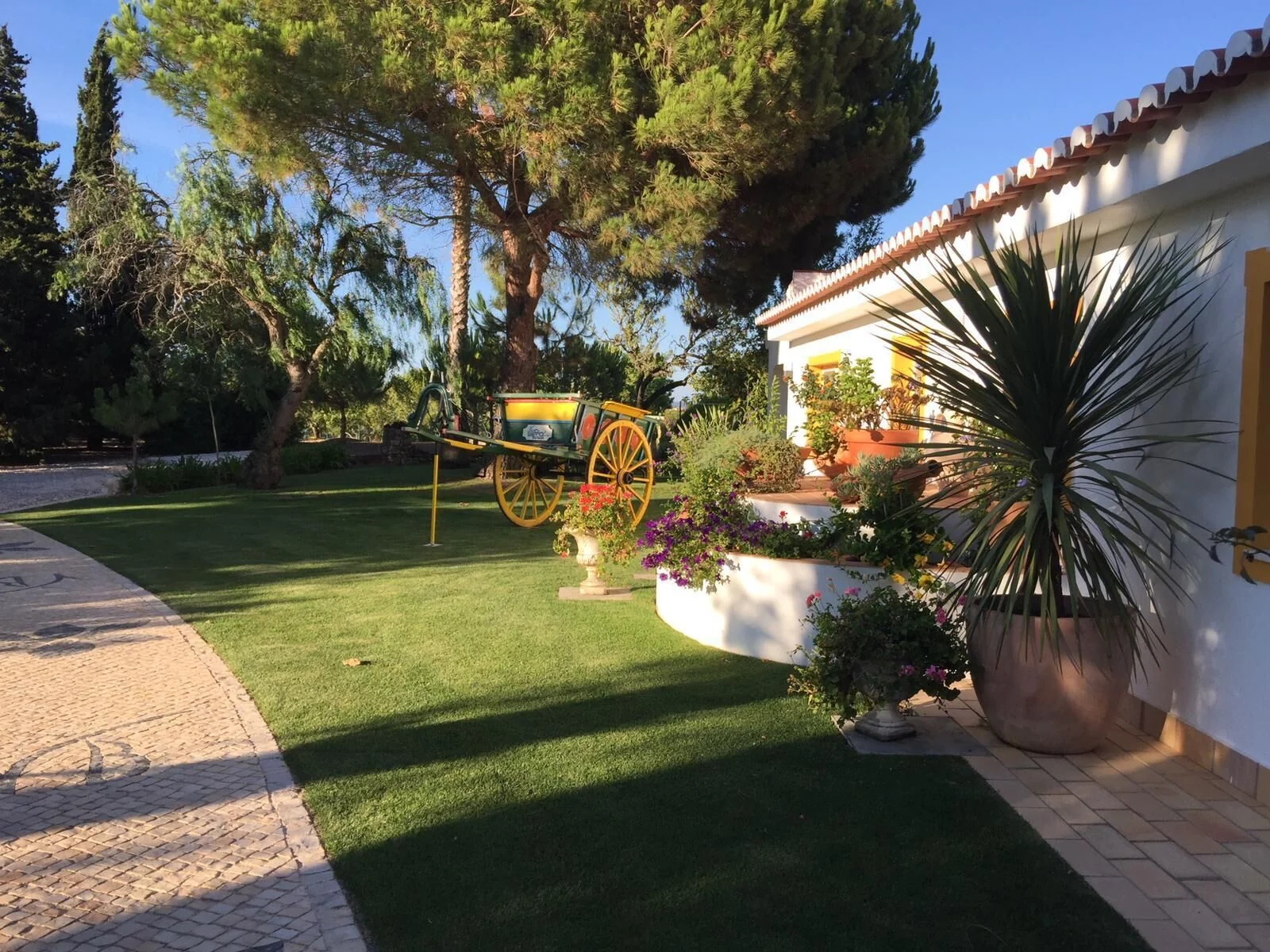 Garten am Haus