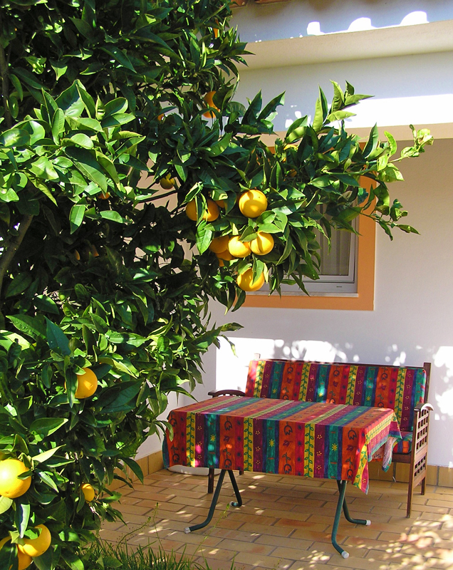 Terrasse und Garten