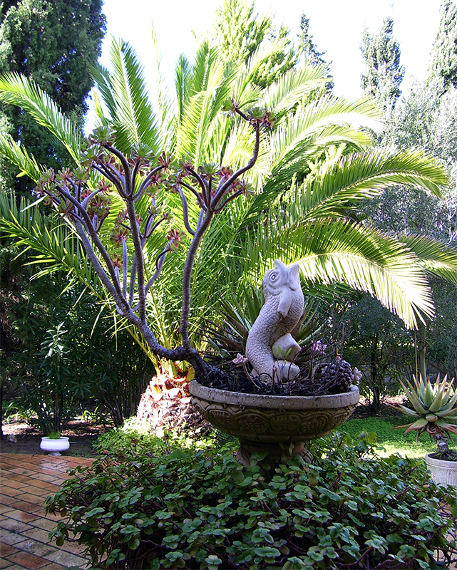 Terrasse und Garten