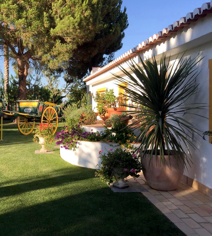 Terrasse und Garten